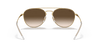 [Brown Gradient Dark Brown Lenses, Polished Brown On Gold Frame]