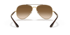 [Light Brown Lenses, Polished Arista Gold Frame]