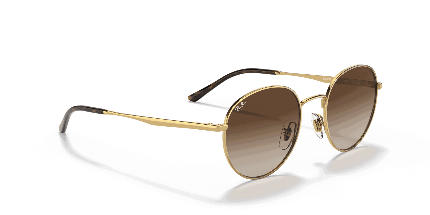 [Gradient Brown Lenses, Polished Arista Gold Frame]