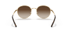 [Gradient Brown Lenses, Polished Arista Gold Frame]