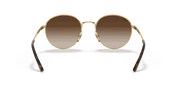 Gradient Brown Lenses, Polished Arista Gold Frame