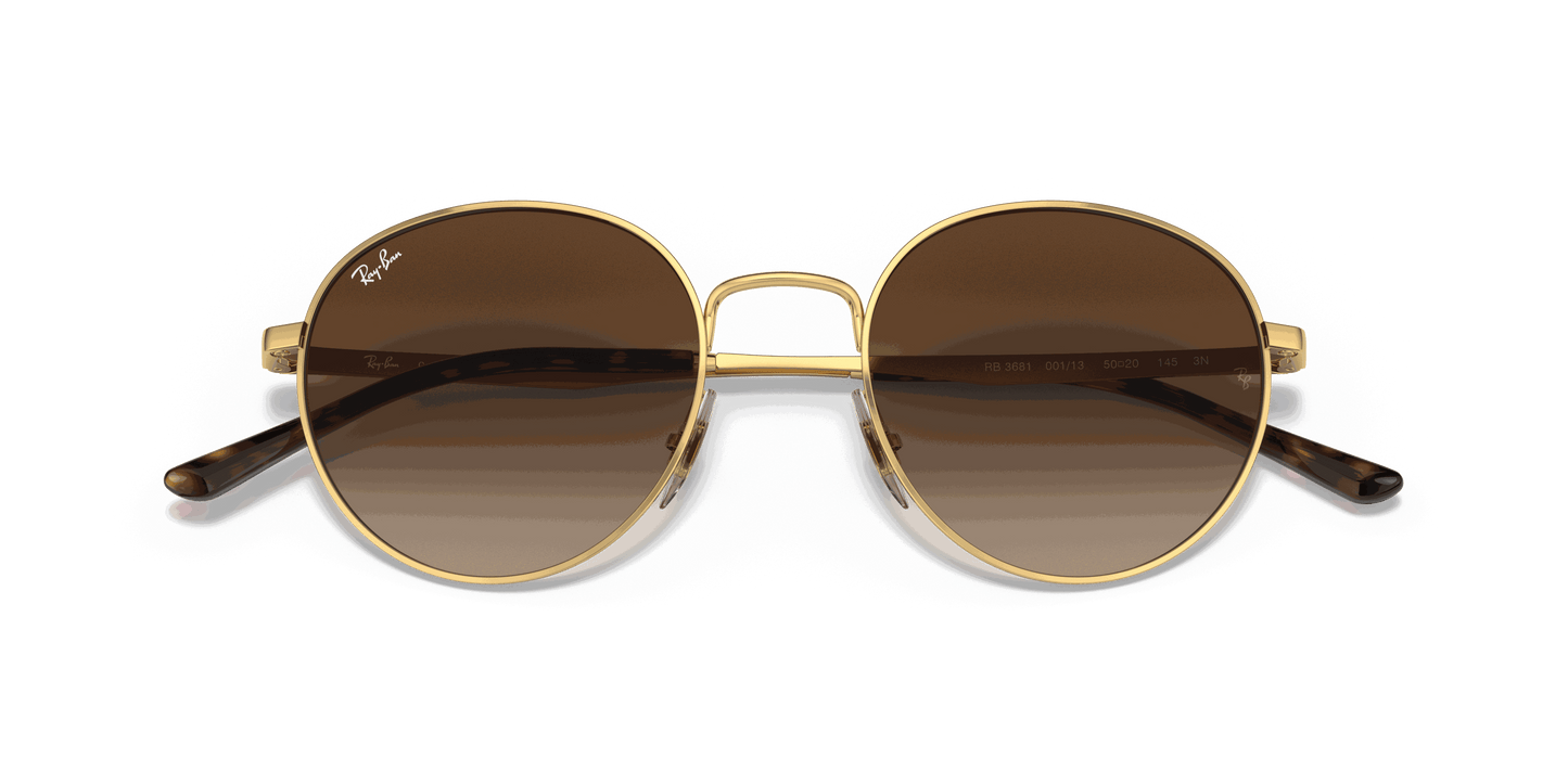 [Gradient Brown Lenses, Polished Arista Gold Frame]