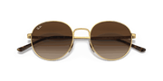 Gradient Brown Lenses, Polished Arista Gold Frame