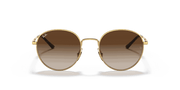 Gradient Brown Lenses, Polished Arista Gold Frame