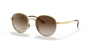 Gradient Brown Lenses, Polished Arista Gold Frame