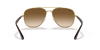 [Brown Lenses, Polished Arista Gold Frame]