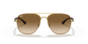 [Brown Lenses, Polished Arista Gold Frame]