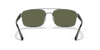 [Green Polar Lenses, Polished Gunmetal Frame]