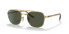 [Green Lenses, Polished Arista Gold Frame]