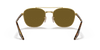 [Brown Lenses, Polished Arista Gold Frame]