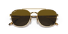 [Brown Lenses, Polished Arista Gold Frame]