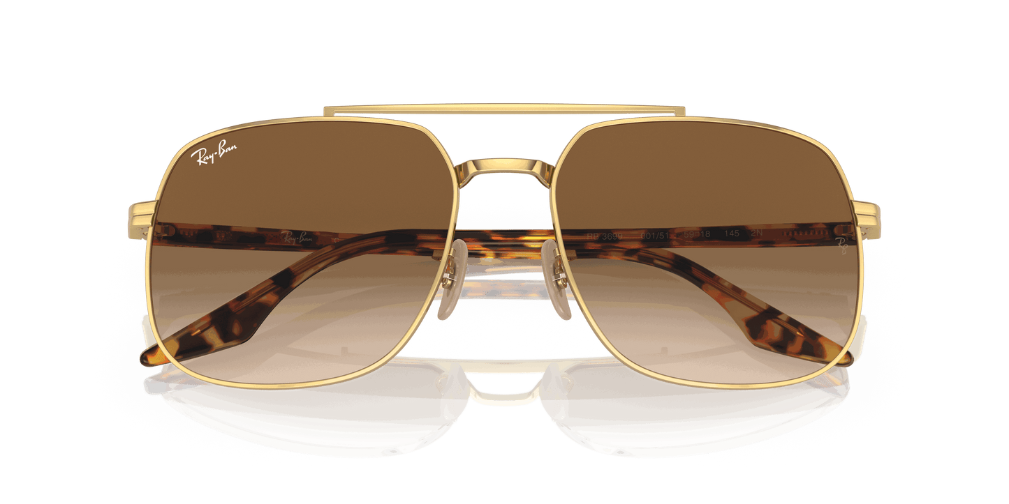 [Brown Lenses, Polished Arista Gold Frame]