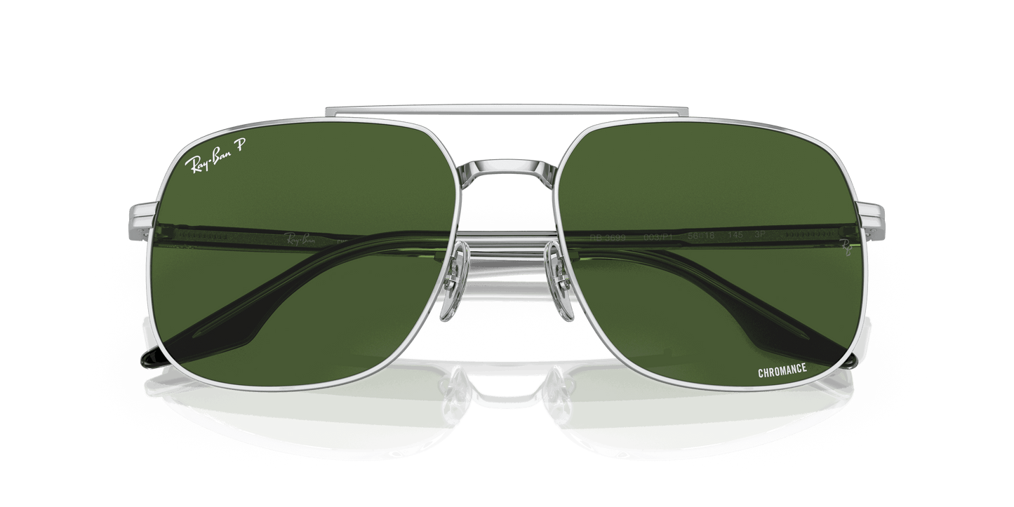 [Dark Green Lenses, Polished Silver Frame]
