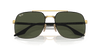 [Green Lenses, Polished Black On Gold Frame]