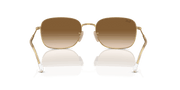 Brown Lenses, Polished Arista Gold Frame