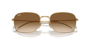 Brown Lenses, Polished Arista Gold Frame