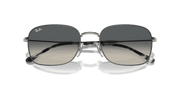 Grey Lenses, Polished Gunmetal Frame