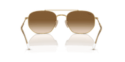 Brown Lenses, Polished Arista Gold Frame