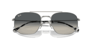 Grey Lenses, Polished Silver Frame