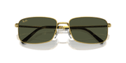 Green Lenses, Polished Gold Frame