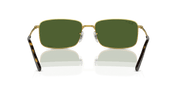 Dark Green Lenses, Polished Gold Frame