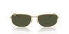 [Green Lenses, Polished Arista Gold Frame]