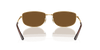 [Brown Lenses, Polished Arista Gold Frame]