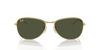 [Green Lenses, Polished Arista Gold Frame]