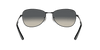 [Grey Lenses, Polished Black Frame]