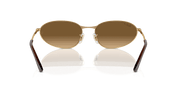 Brown Lenses, Polished Arista Gold Frame