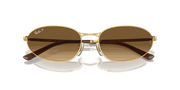 Brown Lenses, Polished Arista Gold Frame