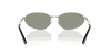 [Green Lenses, Polished Silver Frame]