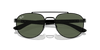 [Dark Green Lenses, Polished Black Frame]