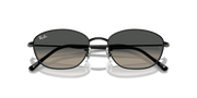 Grey Gradient Lenses, Polished Black Frame