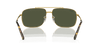 [Green Lenses, Polished Gold Frame]