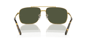 Green Lenses, Polished Gold Frame