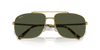 [Green Lenses, Polished Gold Frame]