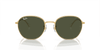 [Green Lenses, Polished Arista Gold Frame]