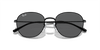 [Dark Grey Lenses, Polished Black Frame]