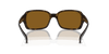 [Brown Lenses, Polished Havana Frame]