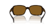 Brown Lenses, Polished Havana Frame