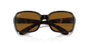 Brown Lenses, Polished Havana Frame