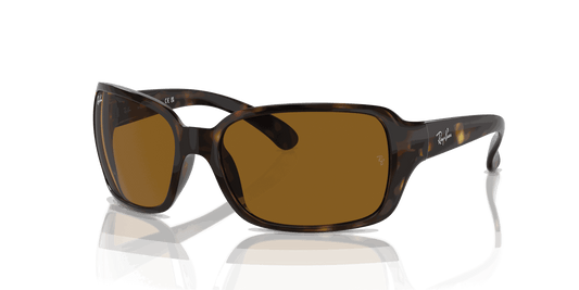 [Brown Lenses, Polished Havana Frame]