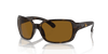 [Brown Lenses, Polished Havana Frame]