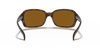 [B-15 Brown Lenses, Polished Havana Frame]