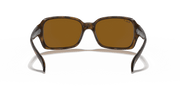 B-15 Brown Lenses, Polished Havana Frame