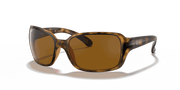 B-15 Brown Lenses, Polished Havana Frame