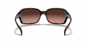 Pink/Brown Gradient Lenses, Polished Havana Frame