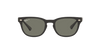 [Green Lenses, Polished Black Frame]