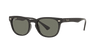 [Green Lenses, Polished Black Frame]